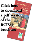 RCISag Brochure